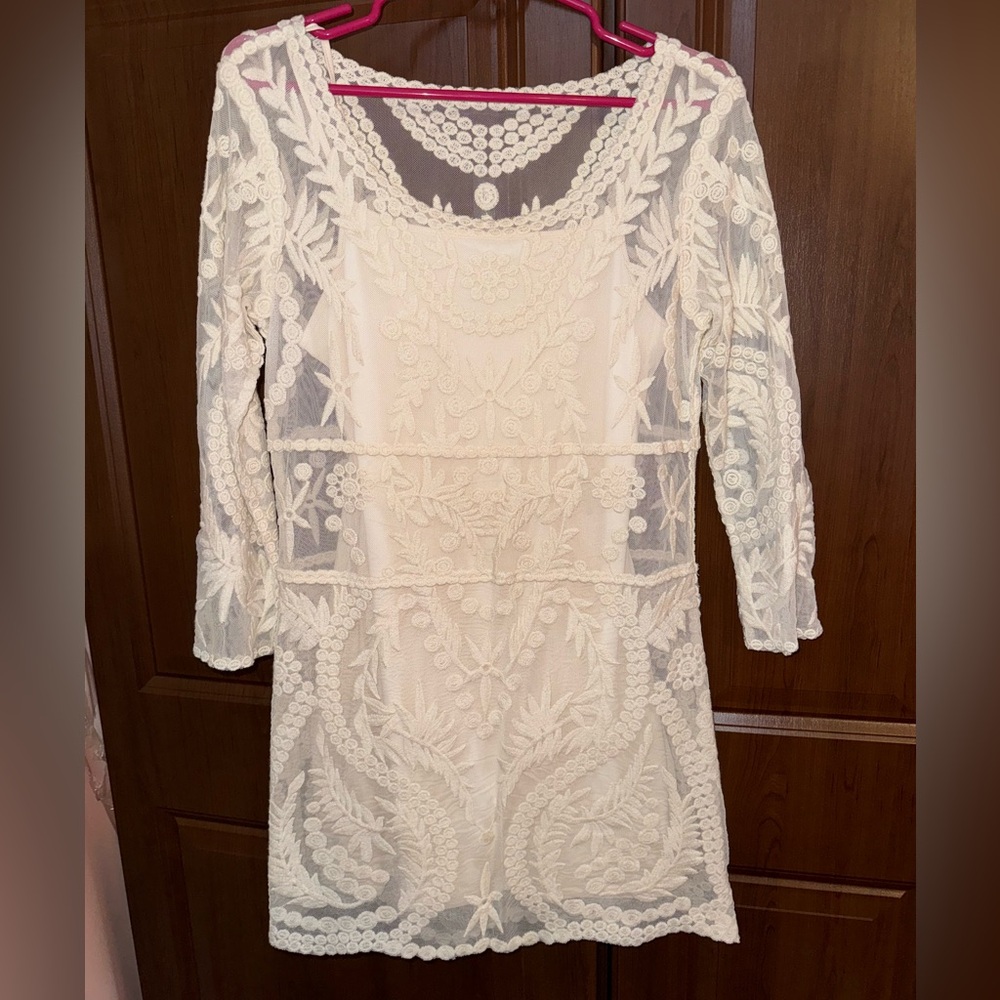 Express Lace Embroidered Lined Long Sleeve Dress